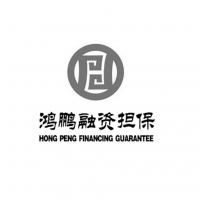河池市鴻鵬融資性擔(dān)保有限責(zé)任公司 助力企業(yè)與經(jīng)濟(jì)發(fā)展的融資橋梁